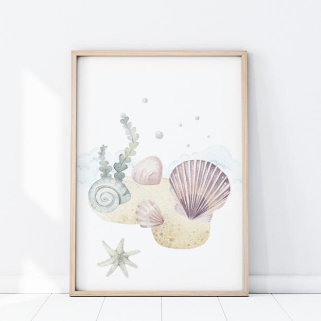 Levně Nástěnný plakát s mořskými mušlemi, P394 13 x 18
