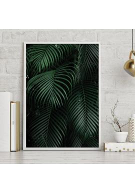 Plakát s přírodním motivem palmových listů