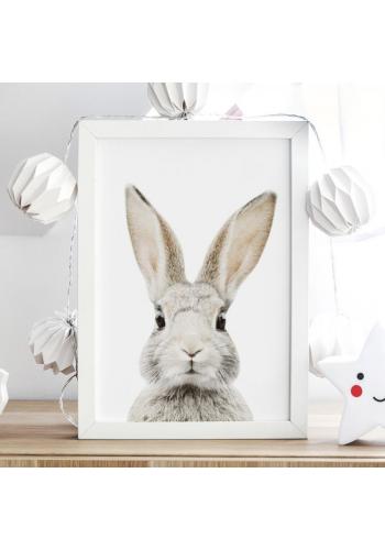 Bílý plakát s motivem králíka