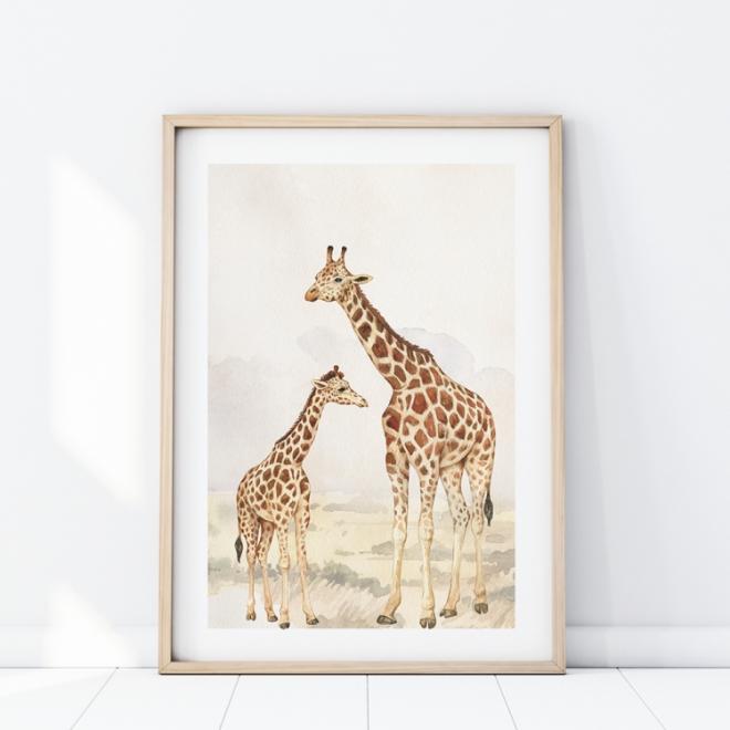 Levně Plakát s motivem dvou žiraf, P346 61 x 91 Na výšku